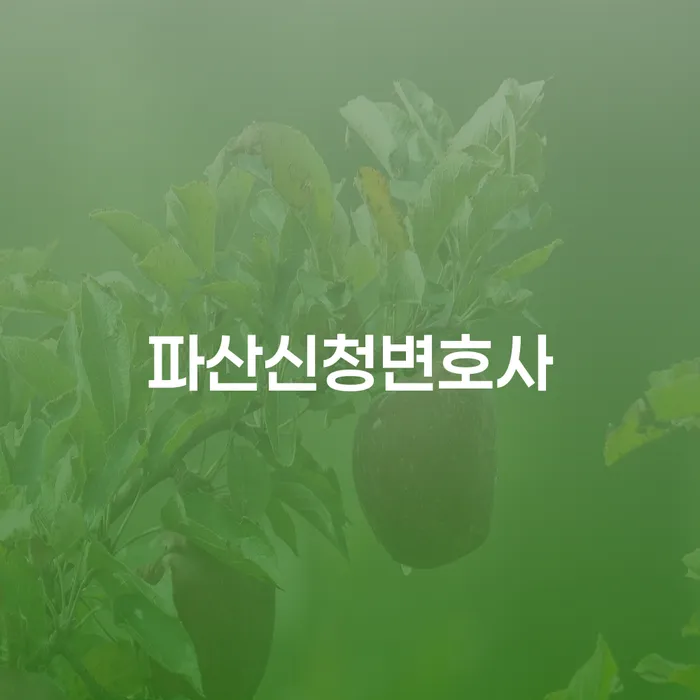 개인회생법무법인 개인회생으로 현명하게 찾는정보들