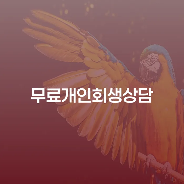 개인면책 대출 받은 돈채무조정 지금알아보기