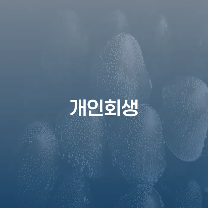 재회생 개인회생 문제해결방법 도움이 되는