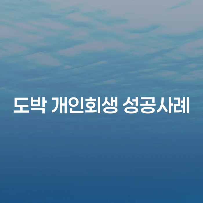 개인회생과파산차이 신용회복 구체적으로 살피면서