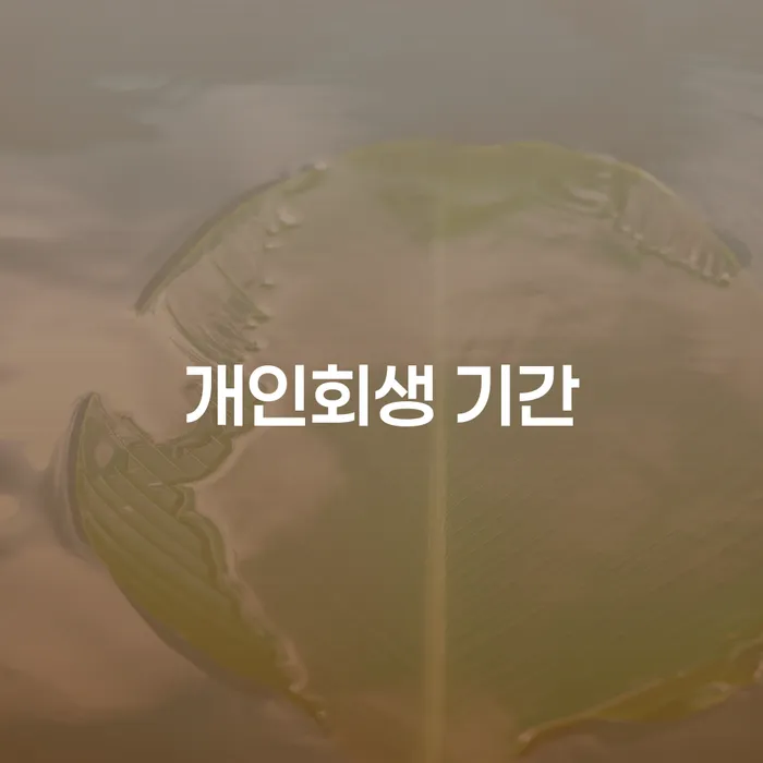 달성군 개인회생기각시 대출 연체 개인회생 적정한