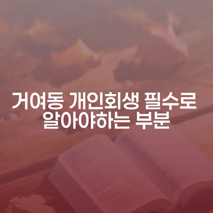 거여동 개인회생 필수로 알아야하는 부분