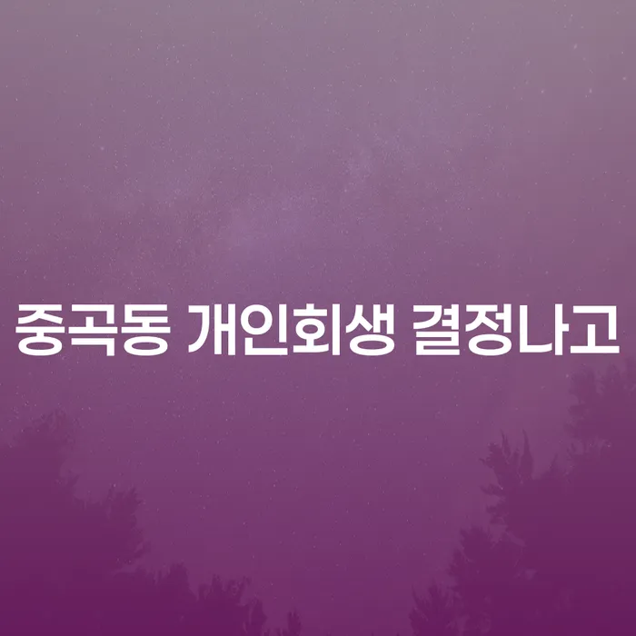 중곡동 개인회생 결정나고
