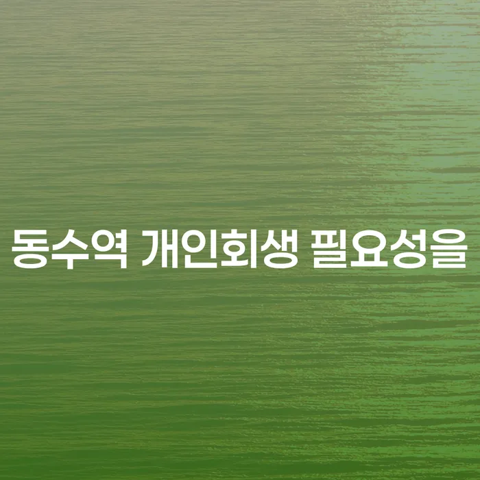 동수역 개인회생 필요성을