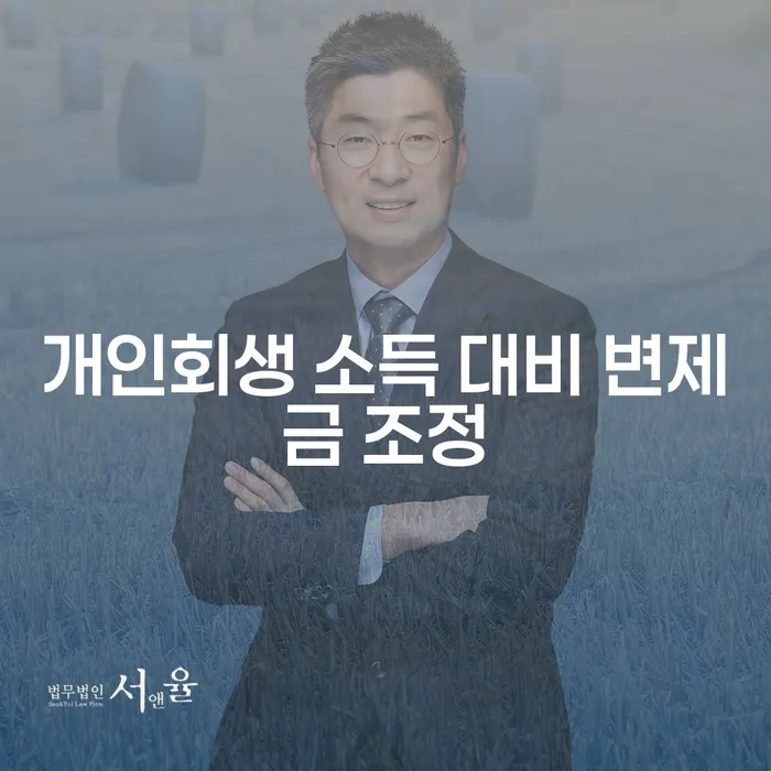 개인회생 소득 대비 변제금 조정: 어떻게 해야 할까요?