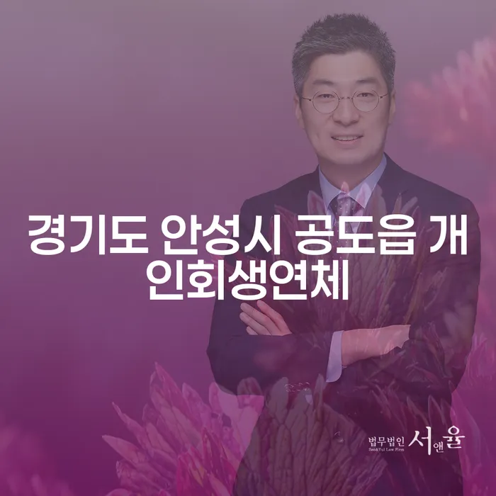 경기도 안성시 공도읍에서 개인회생연체 문제를 해결할 방법은?