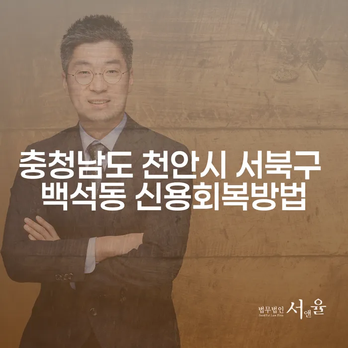 충청남도 천안시 서북구 백석동에서 신용 회복을 위한 최선의 방법은?