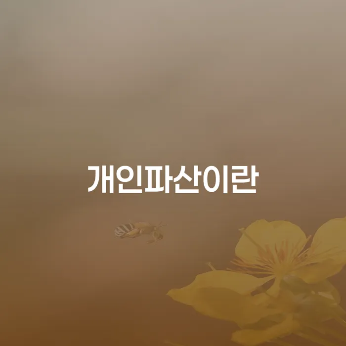 개인파산이란 무엇일까요? 계룡시 개인회생파산을 통한 해결 방법