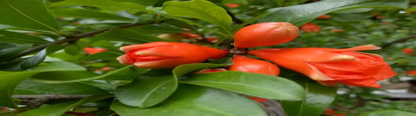 법무법인 서앤율